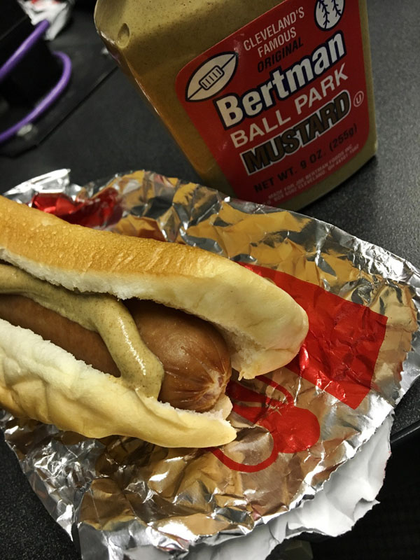 hot dog game flash